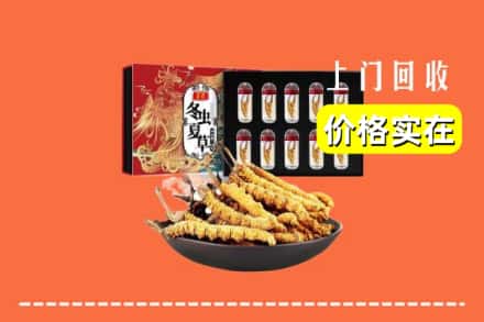 临汾市侯马回收冬虫夏草